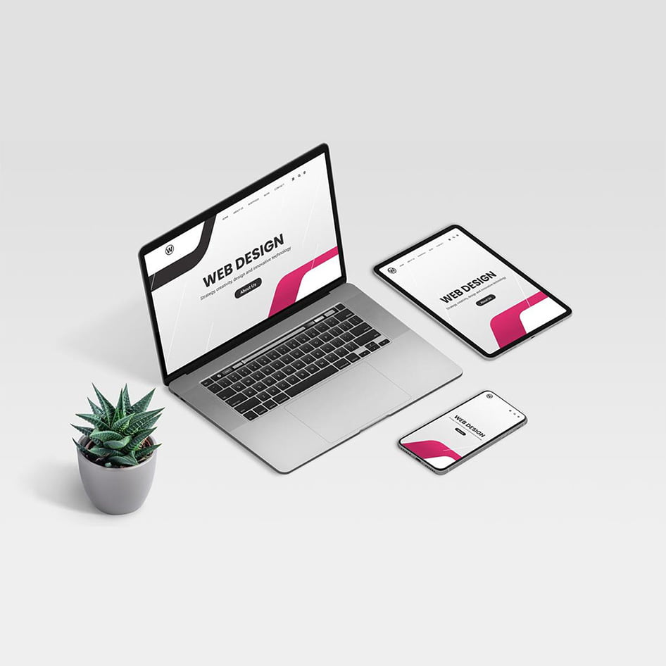 Web development, website design